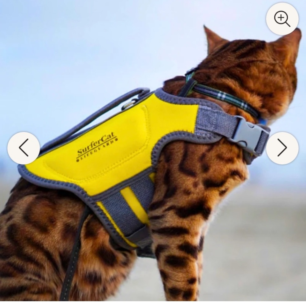 Surfer Cat life jacket regular size yellow